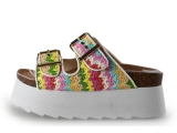 Colors of California Flip-Flops