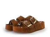 Colors of California Mules Pantoletten