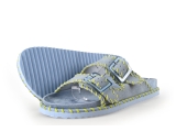 Colors of California Flip-Flops