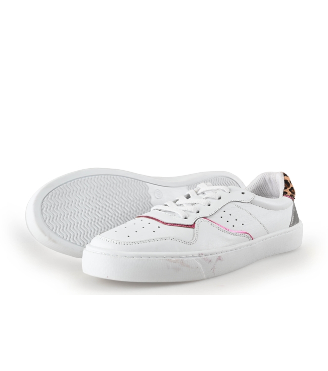 Colors of California Sneaker