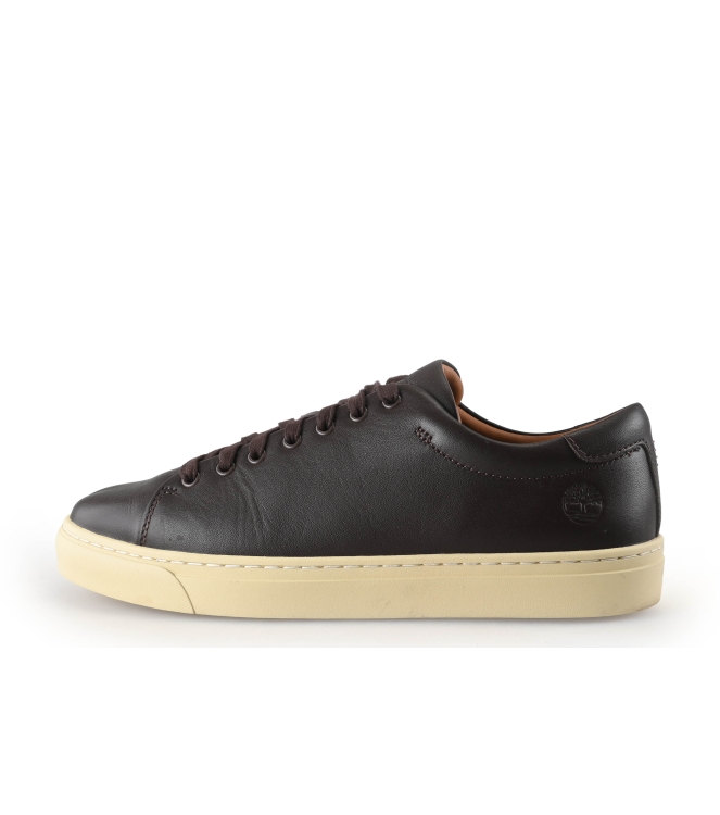 Timberland Sneaker