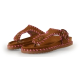 Colors of California Mules Pantoletten