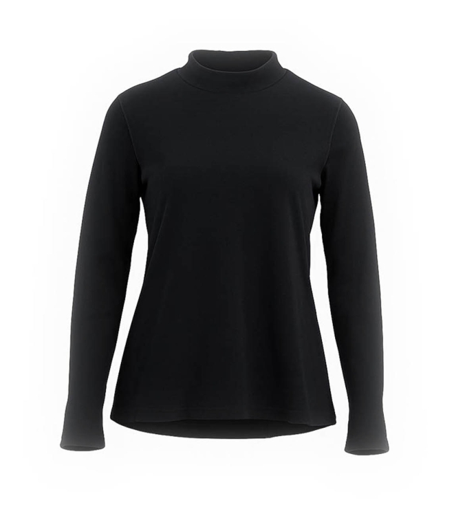 Icebreaker Merino T-shirt