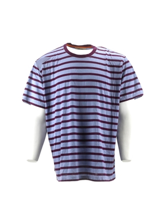 Icebreaker T-shirt Blau 600202