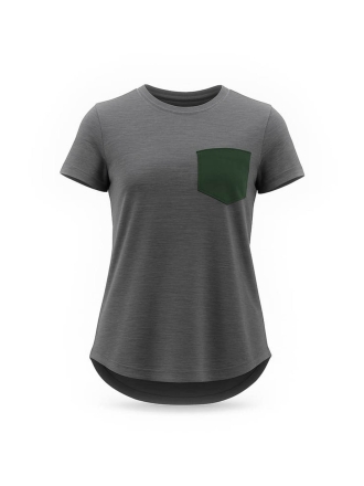 Icebreaker T-shirt Grau 600243