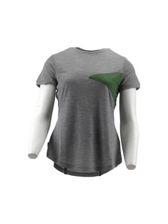 Icebreaker T-shirt Grau 600243