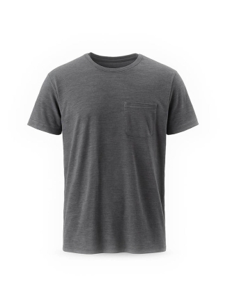 Icebreaker T-shirt Grau 600266