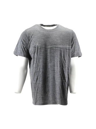 Icebreaker T-shirt Grau 600266