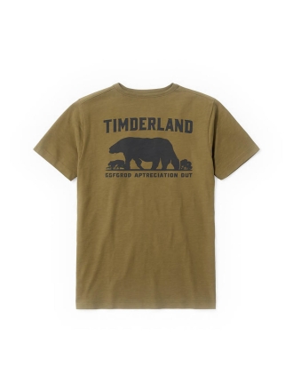 Timberland T-shirt Grün 600439
