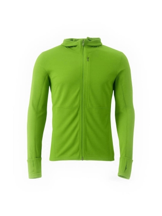 Icebreaker Pullover Grün 600519