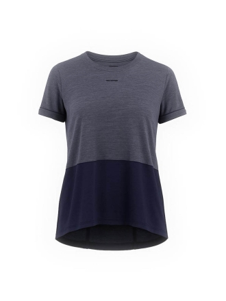 Icebreaker T-shirt Grau 600846