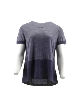 Icebreaker T-shirt Grau 600846