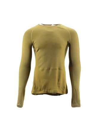 Icebreaker T-shirt Grün 600864