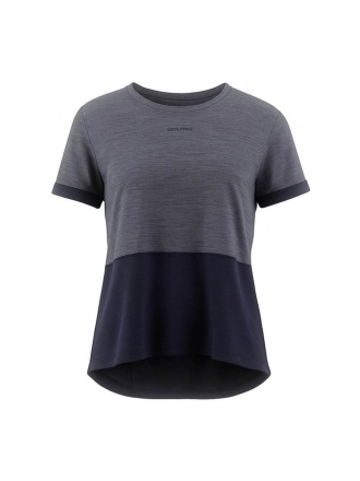 Icebreaker T-shirt Grau 600874