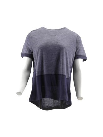 Icebreaker T-shirt Grau 600874