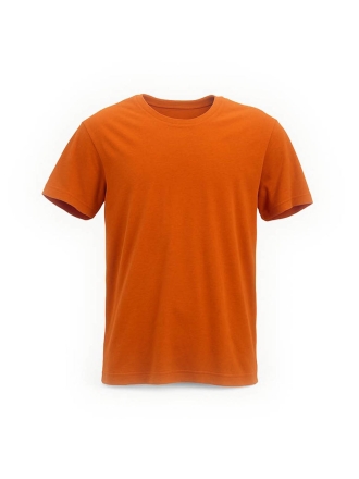 Icebreaker T-shirt Orange 601533