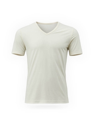 Icebreaker T-shirt Weiß 601536