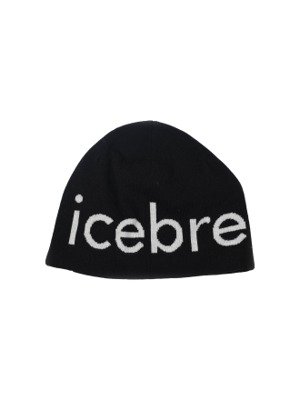 Icebreaker Schwarz 601892