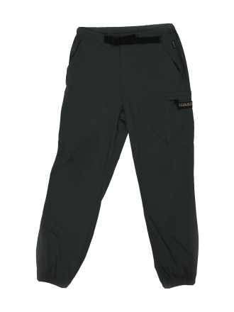 Napapijri Hose Grün 602141