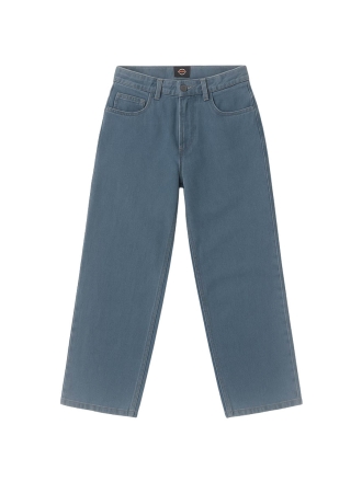 Dickies Hose Blau 602142