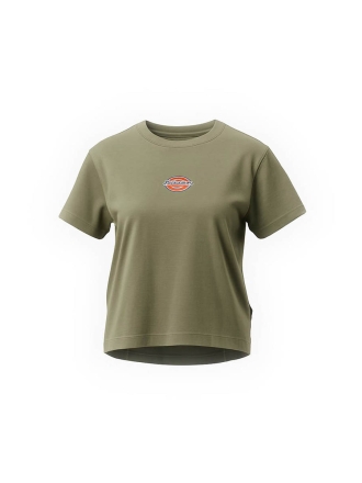 Dickies T-shirt Grün 602371