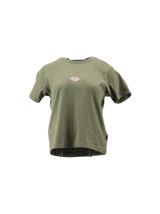 Dickies T-shirt Grün 602371