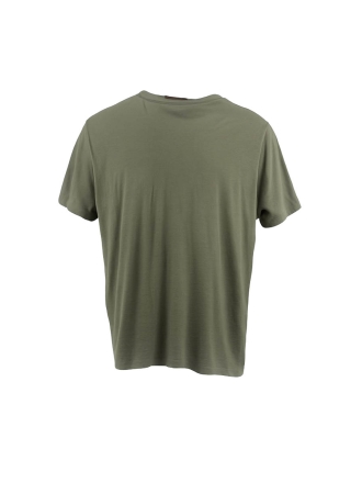 Icebreaker T-shirt Grün 602529