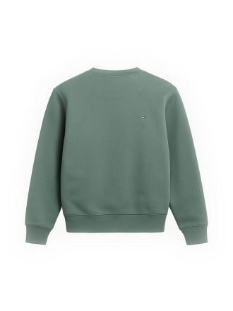 Napapijri Hoodie Grün 602532