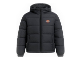Dickies Jacke