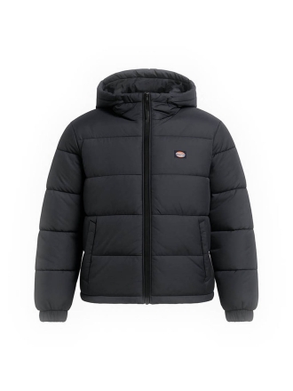 Dickies Jacke Schwarz 602559