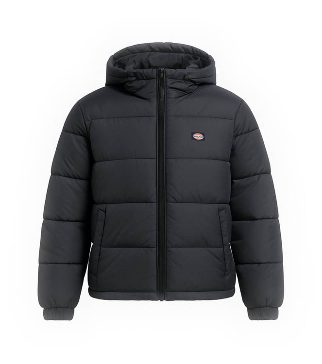 Dickies Jacke