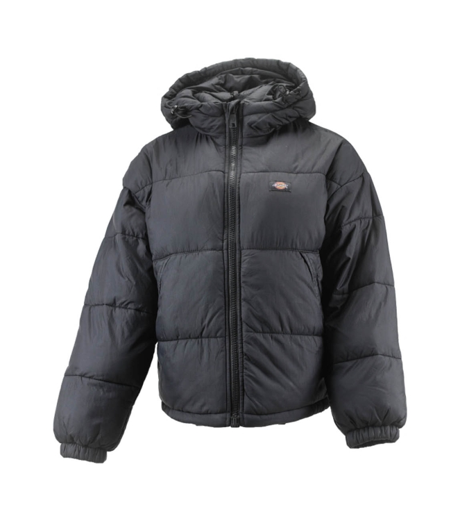 Dickies Jacke