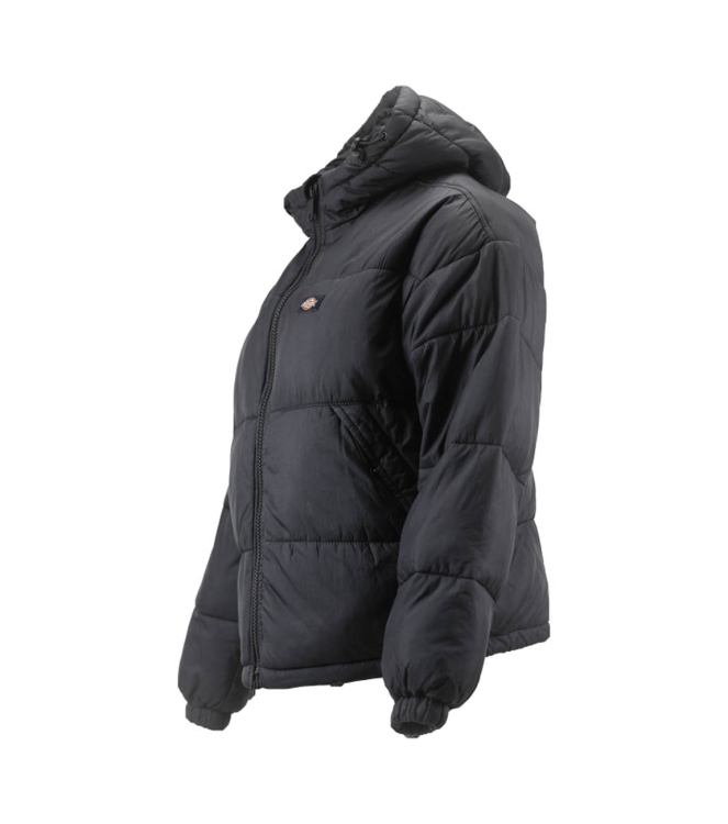 Dickies Jacke