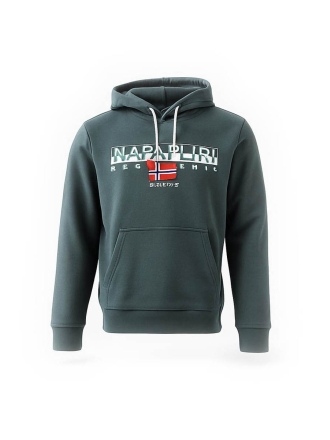 Napapijri Hoodie Grün 602580