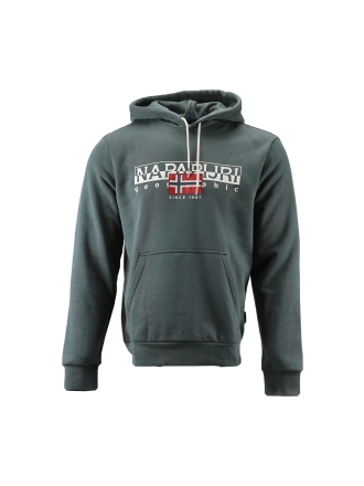 Napapijri Hoodie Grün 602580