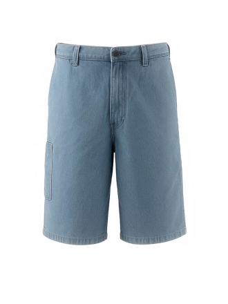 Dickies Hose Blau 602695