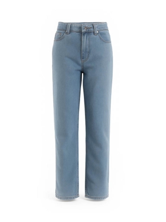 Dickies Hose Blau 602753