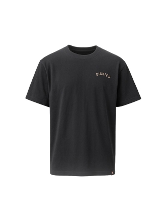Dickies T-shirt Schwarz 602791
