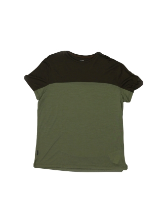 Icebreaker T-shirt Grün 603763