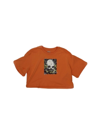 Vans T-shirt Orange 603863