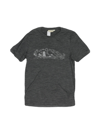 Icebreaker T-shirt Grau 604575