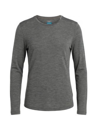 Icebreaker T-shirt Blau 605152