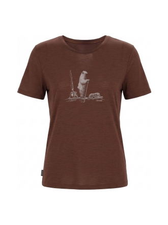 Icebreaker T-shirt Braun 605157