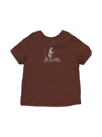 Icebreaker T-shirt Braun 605157