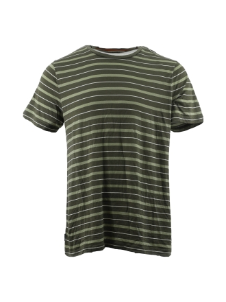 Icebreaker T-shirt Grün 605519