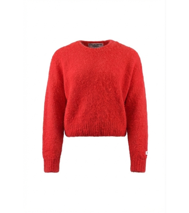 Colourful Rebel Pullover