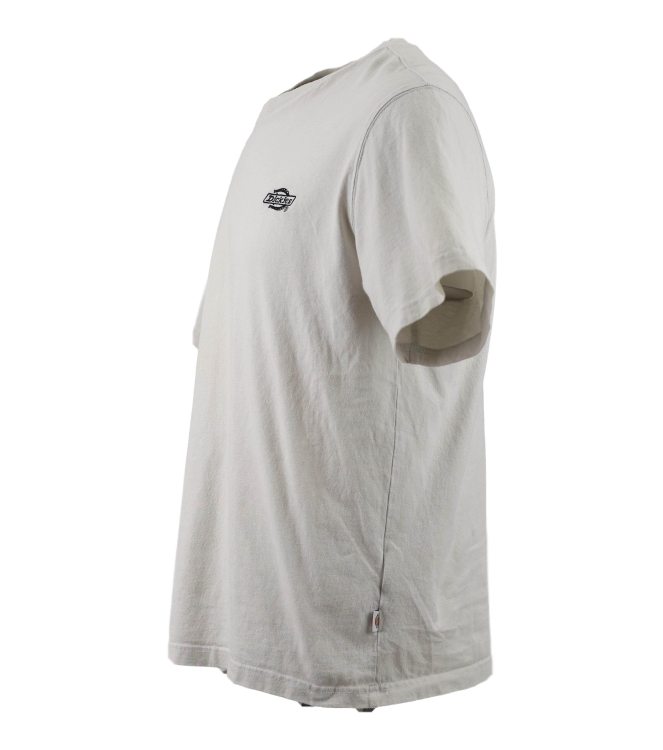 Dickies T-shirt