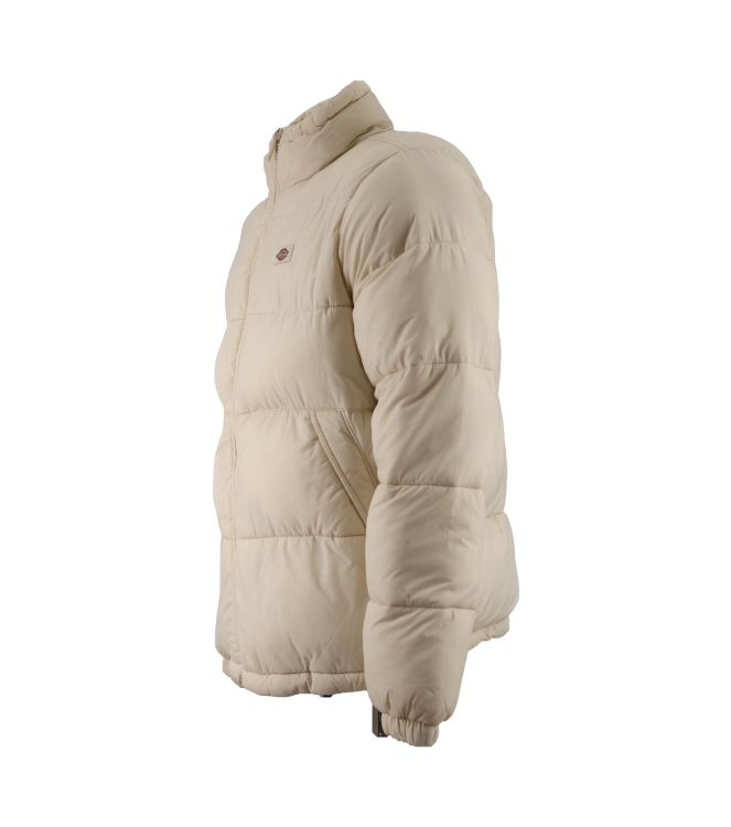 Dickies Jacke