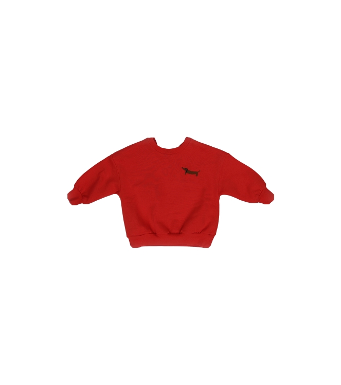 Mini Rodini Pullover