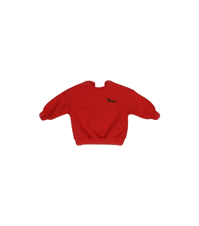 Mini Rodini Pullover